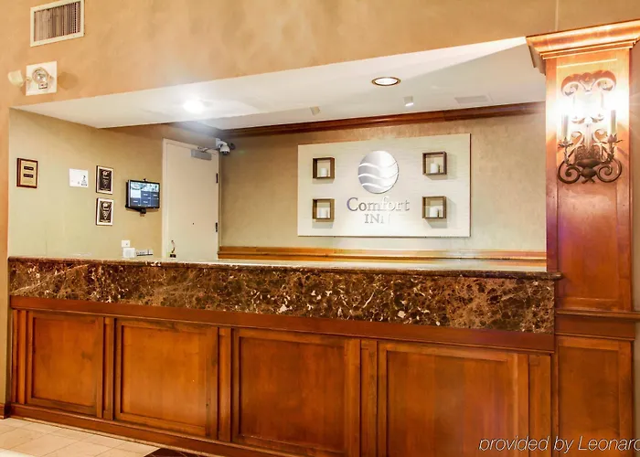 Comfort North Hotel 3*