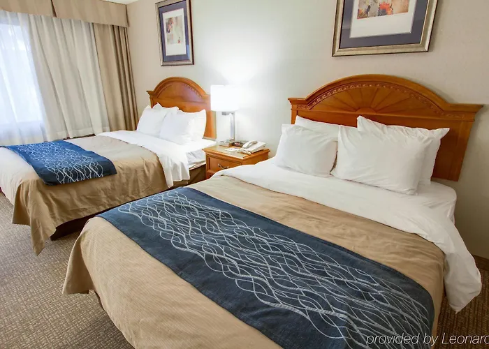 Comfort North Hotel 3*