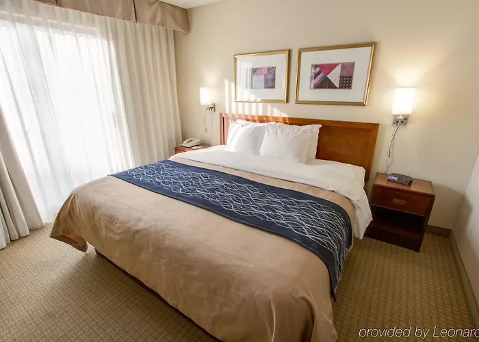 Comfort North 3* Phoenix