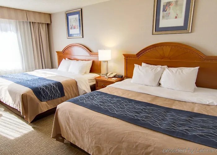 Hotel Comfort North Phoenix