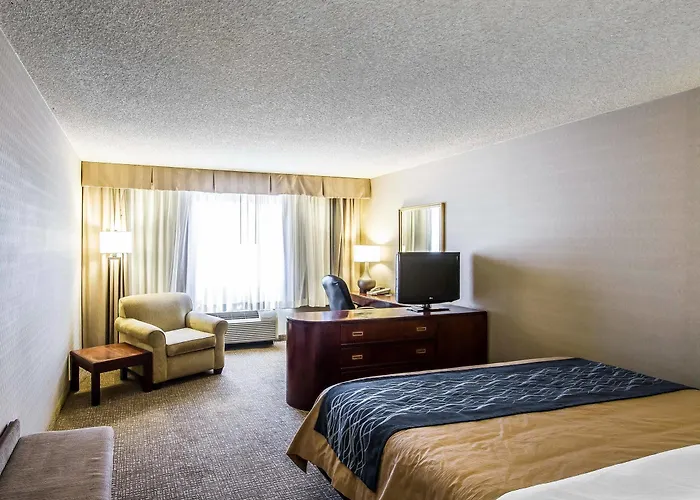 Comfort North 3* Phoenix