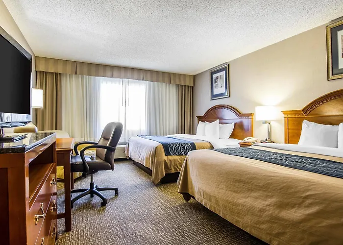 Hotel Comfort North