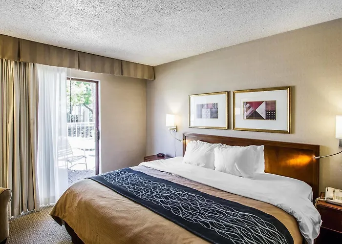Comfort North Hotel