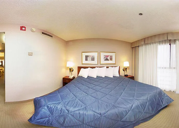Hotel Comfort North